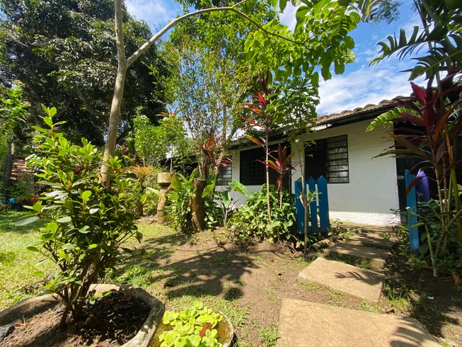Ishka Center, jardín